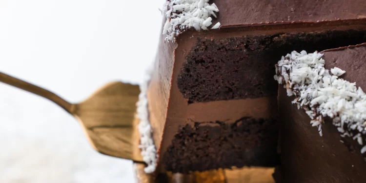 Vegan Coconut Cake With Chocolate