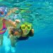 Underwater Adventures in Barbados for Beginners and Experts