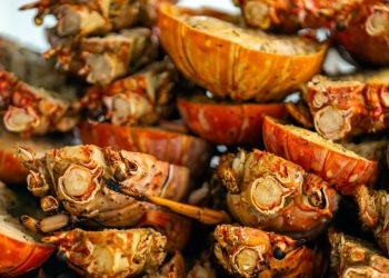 Discover the ultimate lobster experience in Anegada, BVI!