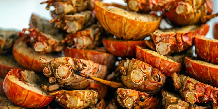 Discover the ultimate lobster experience in Anegada, BVI!