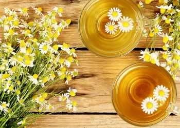 Chamomile Tea: Nature’s Remedy for Relaxation and Wellness