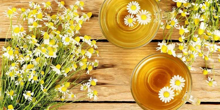 Chamomile Tea: Nature’s Remedy for Relaxation and Wellness