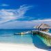 Essentials for the Perfect Bahamas Escape