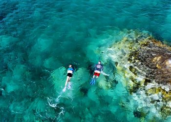 Uncover St. John’s Hidden Snorkeling Gems