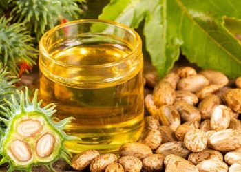 Is Castor Oil the Secret to Hair Growth?