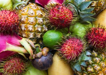 Healthy Living Made Easy with Caribbean Flavors